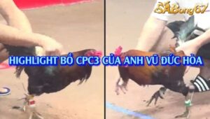 3 TRẬN THẮNG NHẬN 1000 USD CPC3 30/7/2025