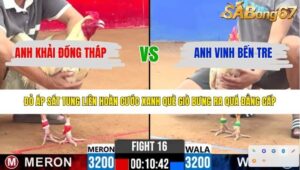 TRẬN 16 CPC2 12/4/2026