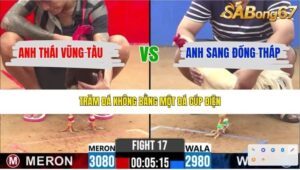 TRẬN 17 CPC2 15/4/2026