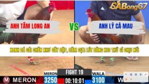 TRẬN 19 CPC2 13/4/2026