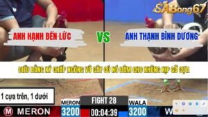 TRẬN 28 CPC2 13/4/2026