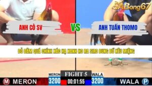 TRẬN 5 CPC3 30/4/2026
