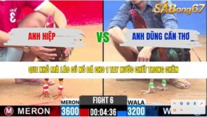 TRẬN 6 CPC2 12/4/2026