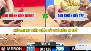 TRẬN 6 CPC2 13/4/2026
