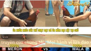 TRẬN 2 CPC4 6/5/2026