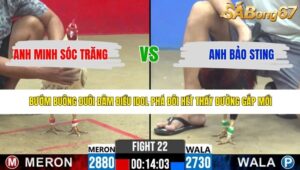 TRẬN 22 CPC2 6/5/2026