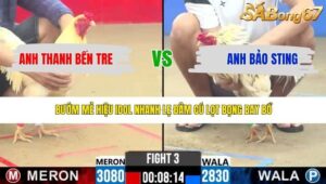 TRẬN 3 CPC2 6/5/2026