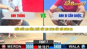 TRẬN 7 CPC2 6/5/2026