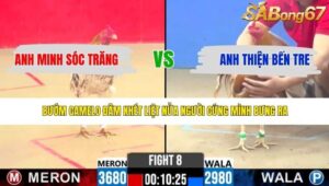 TRẬN 8 CPC2 6/5/2026