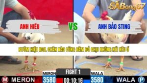 TRẬN 1 CPC2 1/5/2026