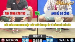 TRẬN 11 CPC2 5/5/2026