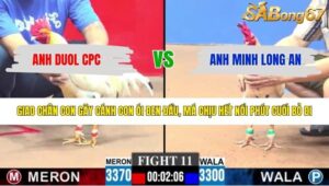 TRẬN 11 CPC3 4/5/2026