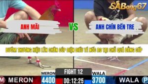 TRẬN 12 CPC2 2/5/2026
