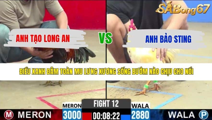 TRẬN 12 CPC2 8/5/2026