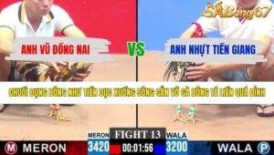 TRẬN 13 CPC3 3/5/2026