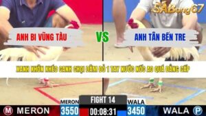 TRẬN 14 CPC2 3/5/2026