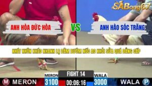 TRẬN 14 CPC2 5/5/2026