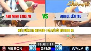 TRẬN 15 CPC3 4/5/2026