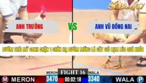 TRẬN 16 CPC3 3/5/2026