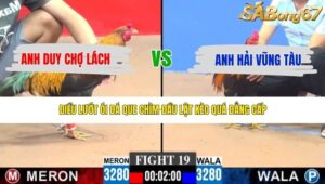 TRẬN 19 CPC3 7/5/2026