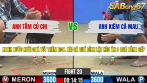 TRẬN 20 CPC2 4/5/2026