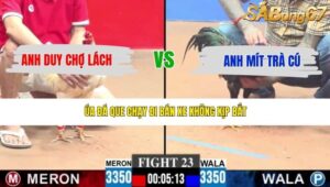 TRẬN 23 CPC3 7/5/2026