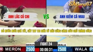 TRẬN 24 CPC2 2/5/2026