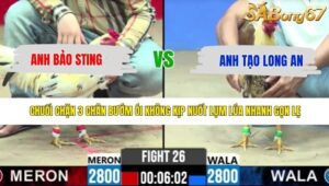TRẬN 26 CPC2 8/5/2026