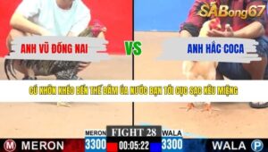 TRẬN 28 CPC3 4/5/2026