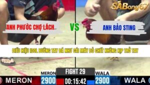 TRẬN 29 CPC2 8/5/2026