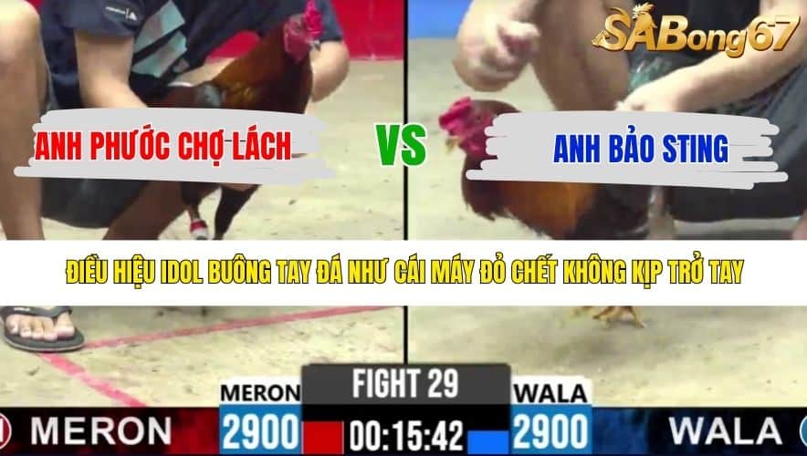 TRẬN 29 CPC2 8/5/2026