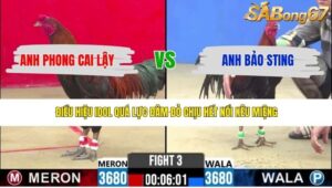 TRẬN 3 CPC2 1/5/2026