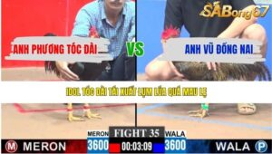 TRẬN 35 CPC3 4/5/2026