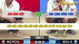 TRẬN 4 CPC2 1/5/2026