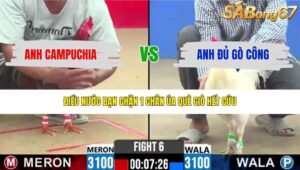 TRẬN 6 CPC2 3/5/2026