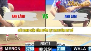 TRẬN 7 CPC2 2/5/2026