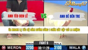 TRẬN 9 CPC2 8/5/2026